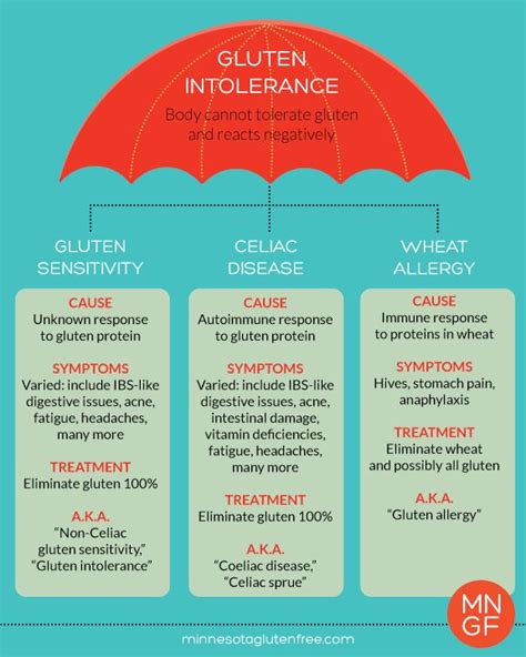 Difference Between Gluten Intolerance Gluten Sensitivity Celiac