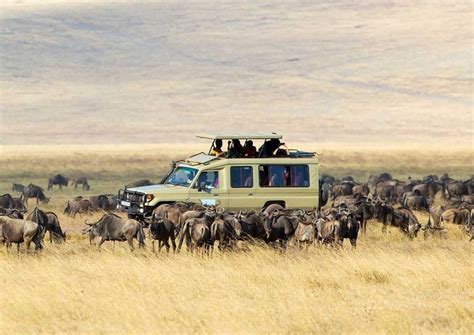 Serengeti National Park In Arusha Tanzania