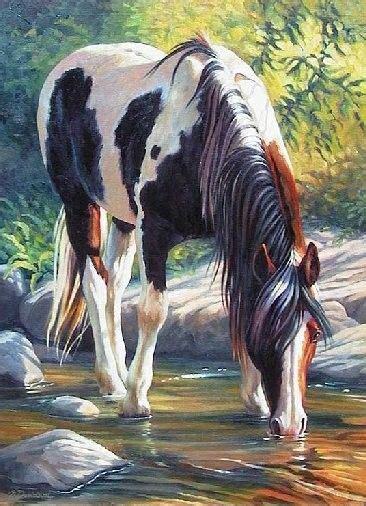 Paint Horse Beautiful Painting Of Horse Drinking Out Of