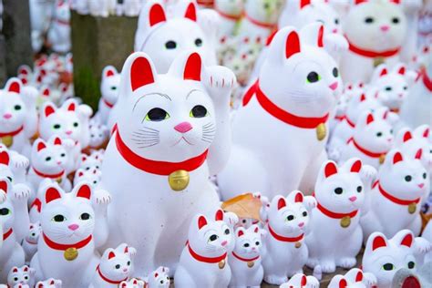 Cats In Japanese Culture Work In Japan For Engineers