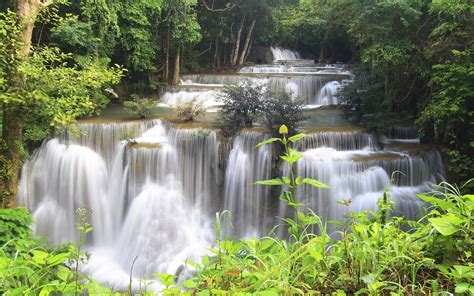 Thailand Forest Jungle River Waterfalls Stream Trees