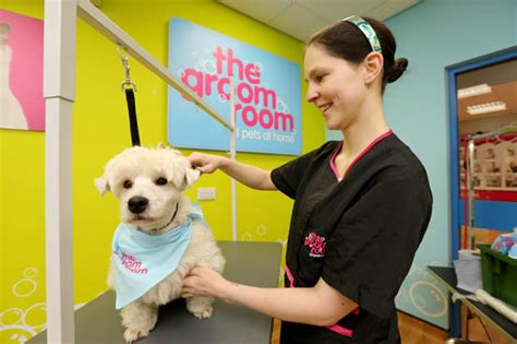 You are not alone and many fellow pet parents understand your struggle. Pets At Home profits rise as more people pamper their pets ...