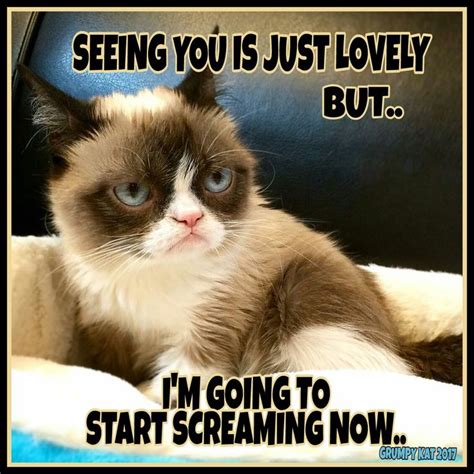 Another Grumpy Cat Meme By The Other Grumpy Kat 2017 Grumpy Is Going To