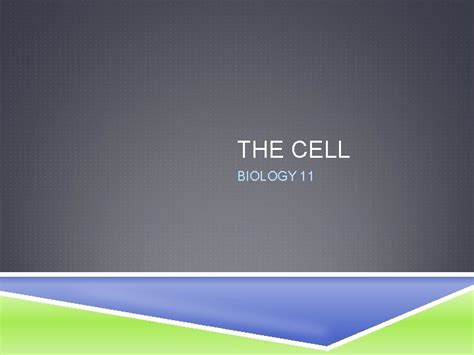 The Cell Biology 11 The Cell Theory All
