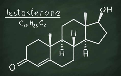 10 Characteristics Of Testosterone What Is Testosterone
