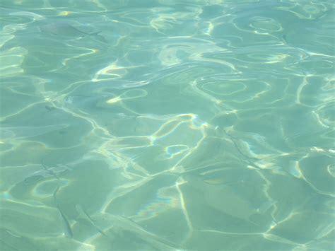 무료 이미지 바다 대양 액체 젖은 풀 명확한 수중 수영 녹색 반사 조용한 열렬한 평화로운 깨끗한