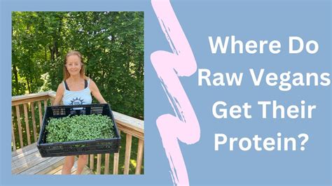 Where Do Raw Vegans Get Protein YouTube