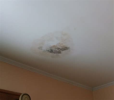 Thoroughly inspecting the ceiling for any spots of green or black is very important. 100 Pictures of Mold in the Home