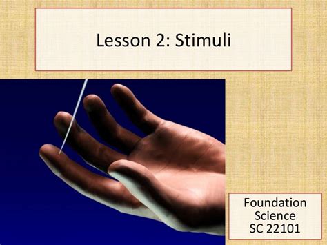 Stimuli Lesson 2