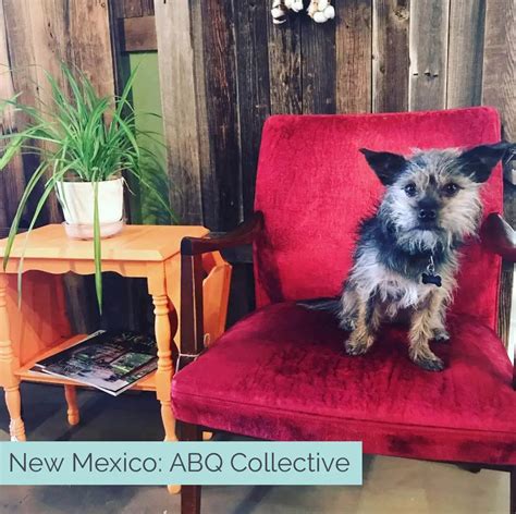 70 Of The Best Dog Friendly Shops Across America Wear Wag Repeat