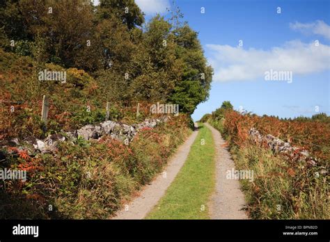 Narrow Single Track Country Lane With Stone Walls Either Side And Grass