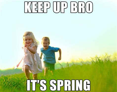 15 Funny Spring Memes To Get You Through These Chilly Spring Days