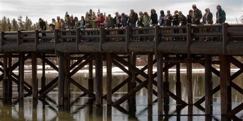 Five of the 12 campgrounds in yellowstone are managed by yellowstone national park lodges and require reservations (shown with a single asterisk below). Explore the Fishing Bridge, Lake Village, and Bridge Bay ...