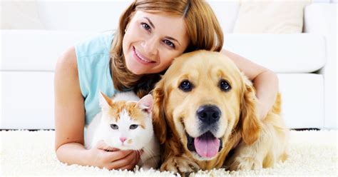 Pet Ownership What To Consider Before Committing I Live Upi Live Up
