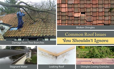 5 Most Common Roofing Problems That You Shouldnt Avoid