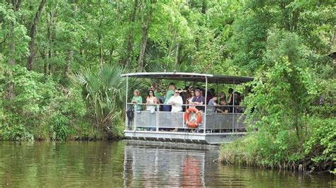 Jean Lafitte Swamp And Bayou Boat Tour From New Orleans