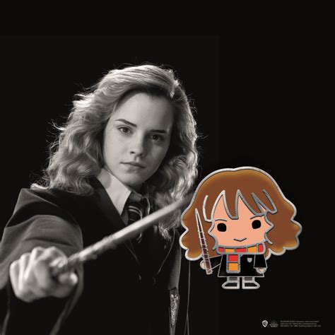 Pin On Hermione