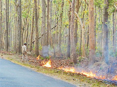 Uttarakhand Forest Fires Going Out Of Control India