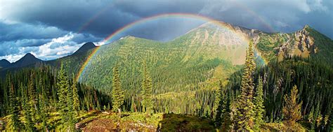 Download Wallpaper 2560x1024 Rainbow Trees Mountains Landscape