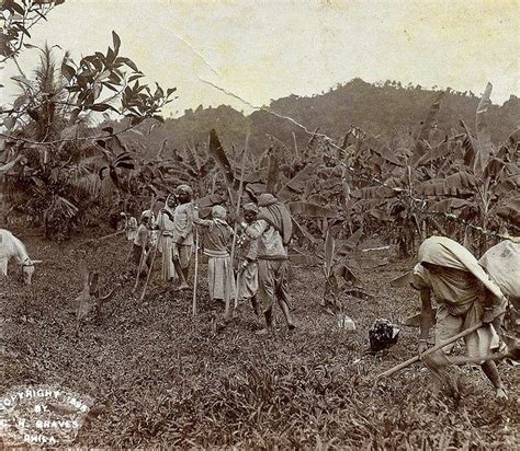 47 best indian indentured laborers coolies 1800 images on pinterest west indian british