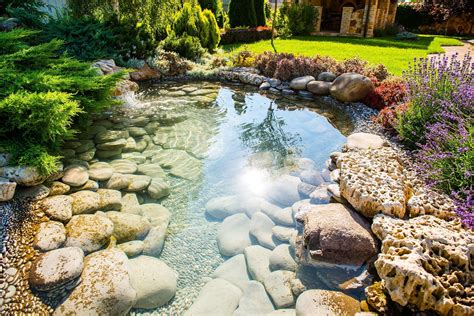 Low Maintenance Landscaping Ideas Plan Ahead For A Hassle Free
