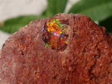 4950 Cts Rough Mexican Fire Opal Specimen