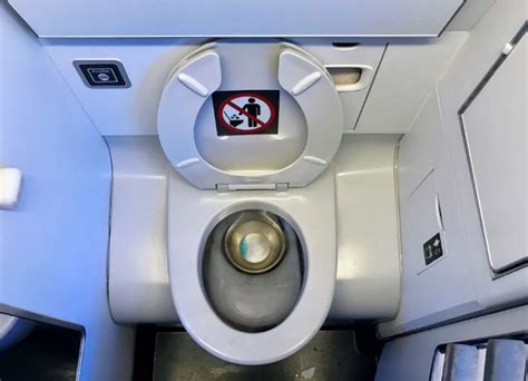 Airplane Toilet Seats Up Or Down