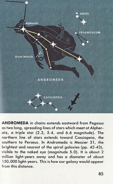 Andromeda Constellations Astronomy Constellations Andromeda
