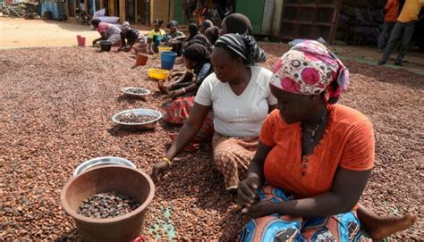 Côte Divoire Ghana Five Questions To Better Understand The Battle Over Cocoa The Africa