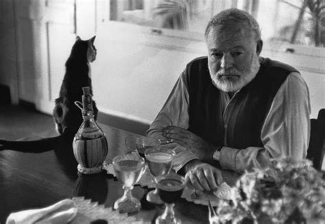 Also called hemingway cats because ernest hemmingway owned polys! 26 Interesting Vintage Photos of Ernest Hemingway With His ...