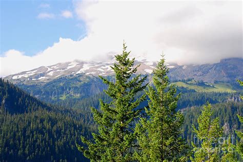 Washington Paradise Mt Rainier National Park Photograph