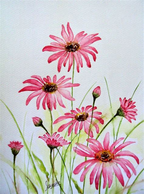 Singhroha Art Watercolors Pretty Pink Daisies Watercolor Flowers