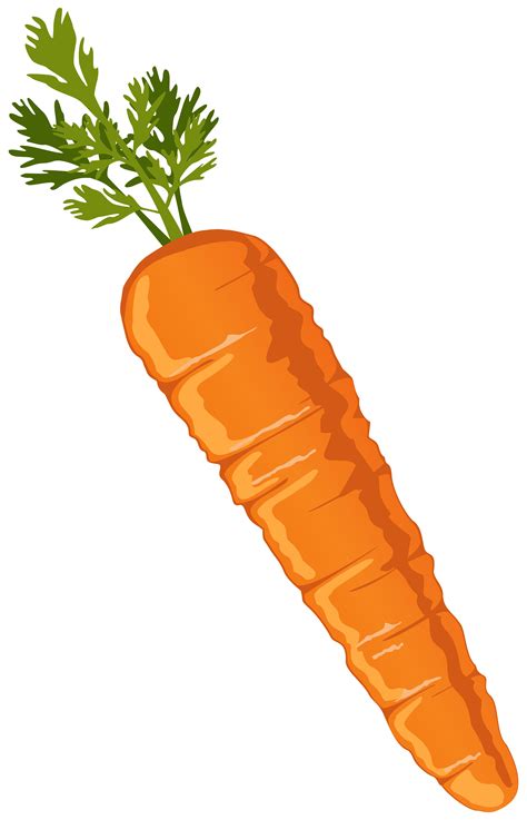 Vegetable Clipart Carrot Carrot Clipart Cartoon Png Carrot Cartoons The Best Porn Website