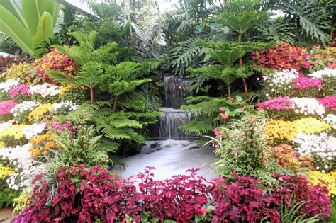 Excellent Choice Of Plants For Your Garden Waterfalls Garden