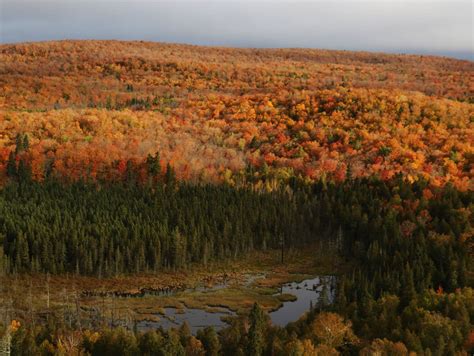 Photos Fall Colors On Minnesotas North Shore Mpr News