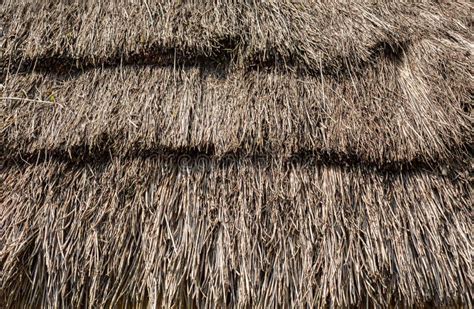 4007 Hut Roof Texture Stock Photos Free And Royalty Free Stock Photos