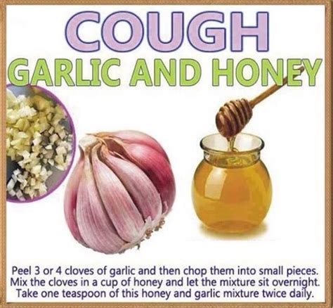 Coughn Natural Cough Remedies Cough Remedies Natural Remedies