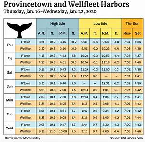 Wellfleet Harbor Tide Chart