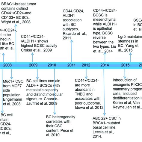 Timeline Of Important Discoveries And Findings Of Breast Cancer Stem