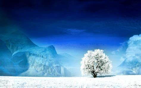 Lonely Winter Wallpapers Top Free Lonely Winter Backgrounds