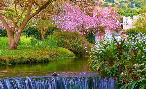 Nature Spring Scene Ipad Air Wallpaper Download Iphone Wallpapers