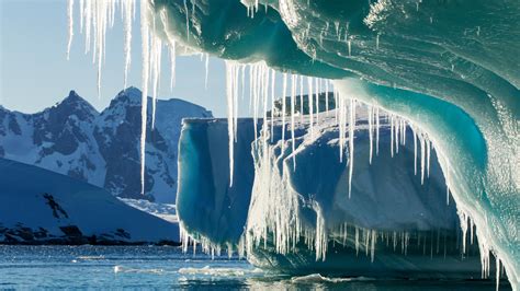 Antarcticas Ice Is Melting Five Times Faster Than Usual News The Times