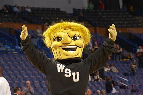 10 Weird And Hilarious College Mascots