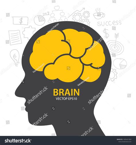Human Brain Design Brain Thinking Human Stock Vector Royalty Free