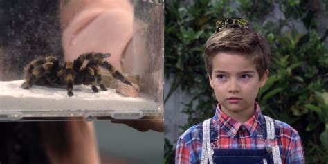 netflix s fuller house 10 continuity errors from seasons 2 to 5