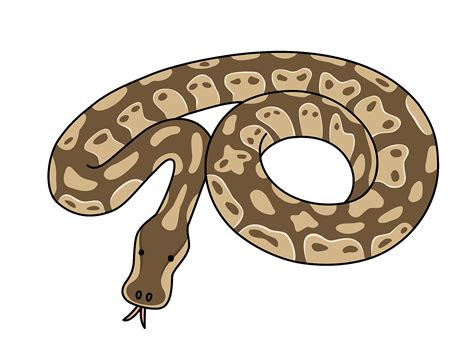 Burmese Pythons Clip Art Library