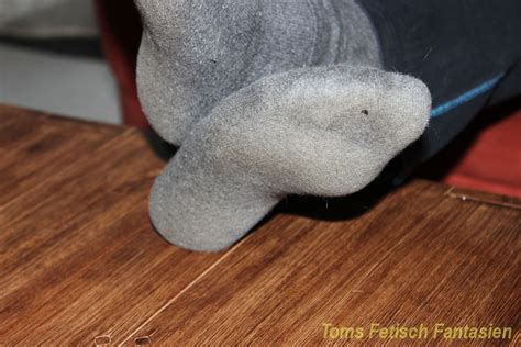 Stinke Socken Fetish Porn Pic