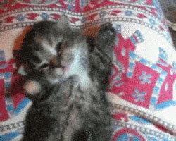 Good morning gif 2020 is specially created with nice realistic and beautiful animated morning background, it has a huge enjoy the morning with good morning greetings !! Whatsapp Status GIF by good-morning - Find & Share on GIPHY