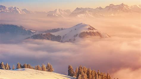 Обои Альпы 5k 4k Швейцария горы облака сосны Alps 5k 4k