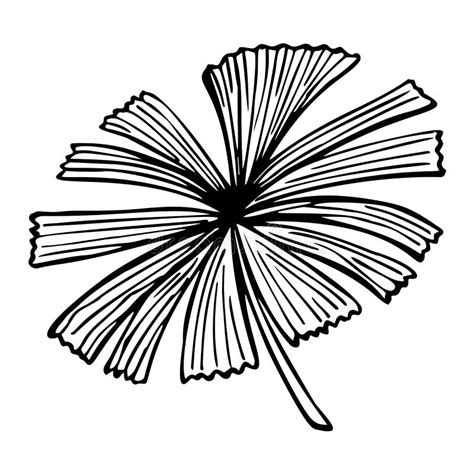 Palm Leaf Sketch Isolated Retro Fan Branch Tropical Plants In Hand